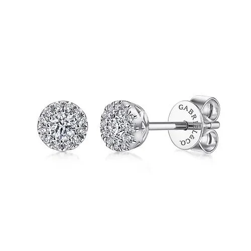 Women’s contemporary earrings-14K White Gold Diamond Halo Stud Earrings